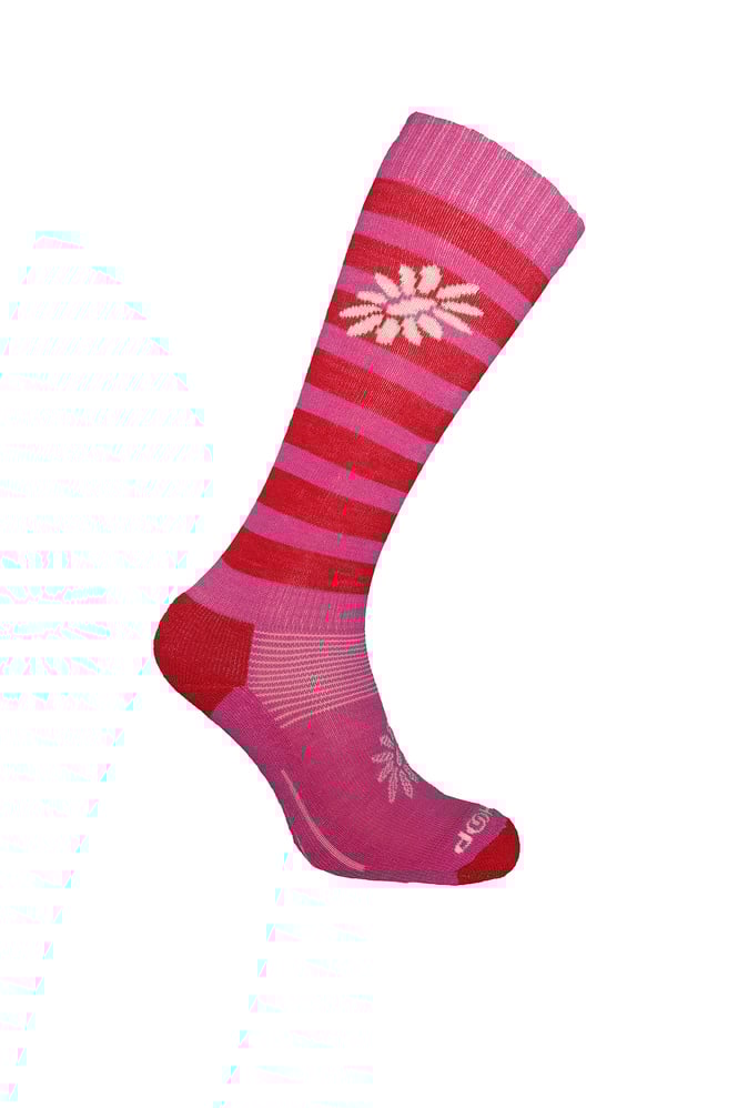 Hot Sock Wildrose Thumbnail